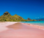 Pantai Pink