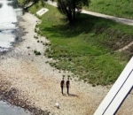 Pria Kembar di Tepi Sungai