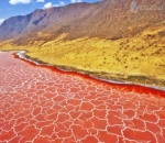 Danau Natron, Tanzania