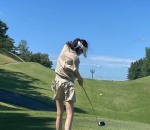  Hobi Main Golf