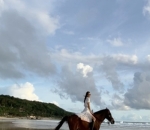 Berkuda di Pulau Sumba 