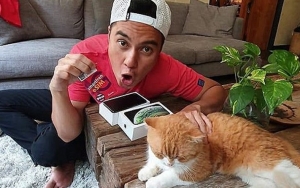 Kucing Baim Wong