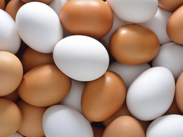 Bosan Makan Telur Biasa? Contoh 15 Cara Penyajian Telur yang Berbeda Nan Menggoda Ini