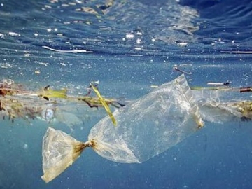 Santai Buang Sampah ke Laut, Netizen Minta Menteri Susi Tenggelamkan Pria Ini