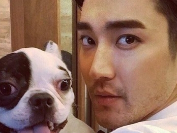 Anjing Siwon SuJu Gigit Tetangga Hingga Tewas, Keluarga Korban Memaafkan