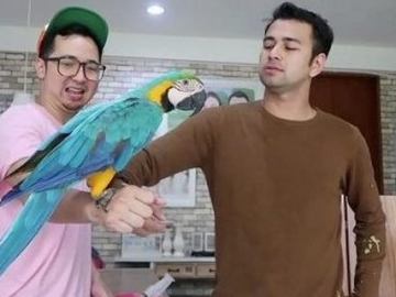 Burungnya Dimainkan Youtuber Ini, Raffi Ahmad Posting di Instagram