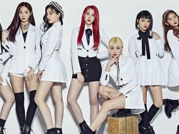 Mihwadang Record Bela Momoland Atas Tuduhan Saejegi, Netizen Ngakak