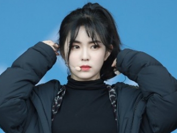 Irene, Nayeon Hingga Momo, Inilah Member Girl Group Dengan Reputasi Brand Terbaik April 2018