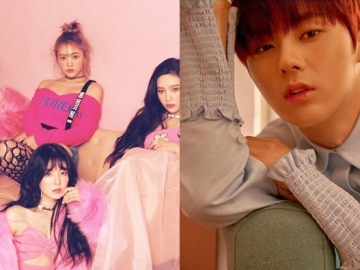 Hwang Minhyun Wanna One Kepergok Kepo Akun IG Fans Red Velvet, Begini Komentar Netter