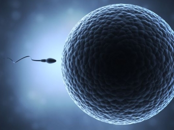 Terjawab, Peneliti Menduga Bagian Sperma Ini yang Sebabkan Kemandulan