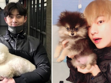 Berteman Dekat, Lucunya Park Seo Joon dan V BTS Bermain Bersama Anjing Peliharaan