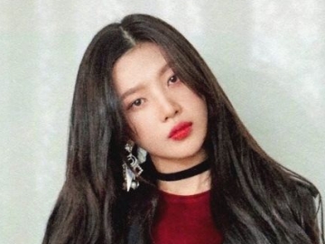 Bikin Fans Kesal, Sasaeng Mengganggu Selama Live Instagram dan Abaikan Peringatan Joy Red Velvet