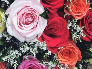 Jangan Sembarang Pilih, 8 Makna Bunga Mawar Ini Patut Diketahui Sebelum Dijadikan Kado