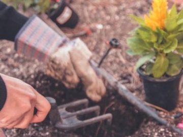 Terbukti oleh Penelitian, Berkebun Ternyata Punya 7 Manfaat Baik untuk Kesehatan Fisik dan Mental