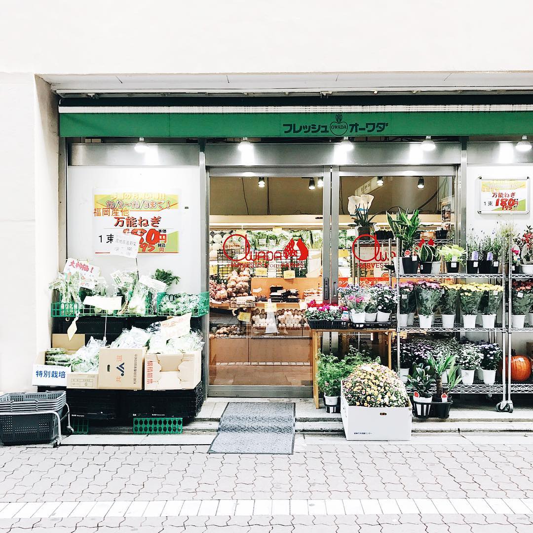 Ayudia Bing Slamet & Ditto Liburan ke Jepang, Bagi-Bagi 