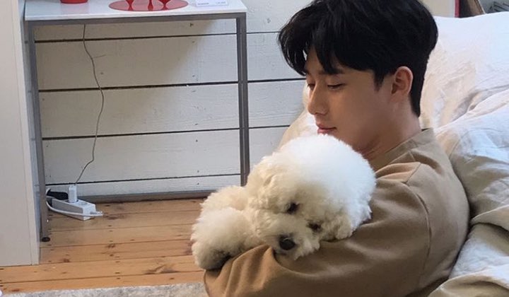 Asyik Bermain Salju Anjing Peliharaan Park Seo Joon Ini Buat Fans