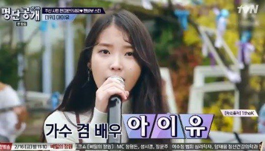 IU Seleb Korea Dengan Fan Service Terbaik