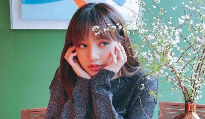 Hasil gambar untuk lisa