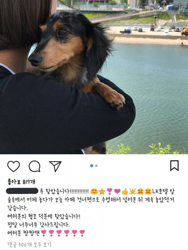 Anjing Mendiang Jonghyun SHINee Kembali ke Rumah