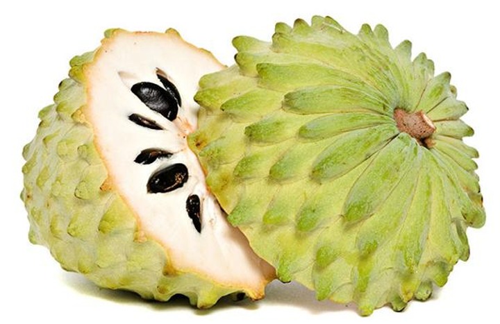 10 Cara Membasmi Habis Kutu Rambut Hingga Telurnya dengan Bahan Alami