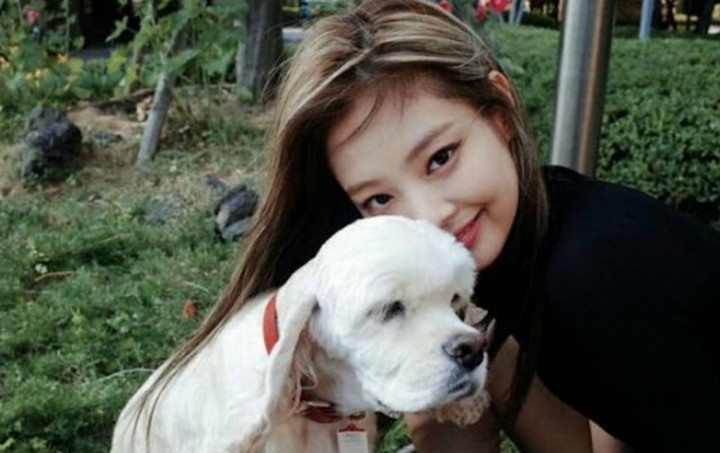 Nama anjing sunghoon