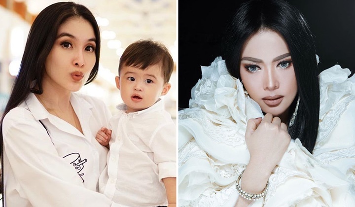 Putra Sandra Dewi Diam-Diam Sudah Punya Jet Pribadi, Netter Kok Malah