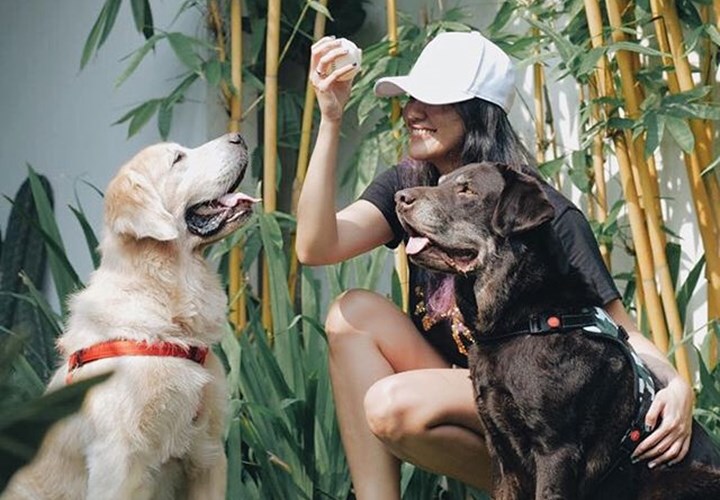 Sharena Delon Sebut 2 Anjing Miliknya Anak Berkaki 4