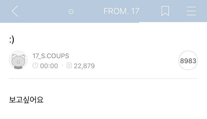 S.Coups Fancafe