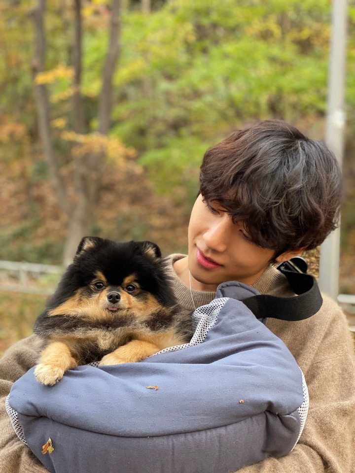 Lucunya V BTS  Unggah Foto Bareng Anjing Peliharaan  Bikin Gemas