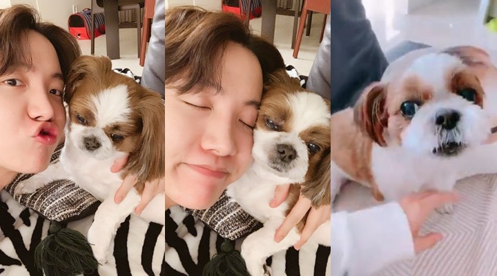 Punya Majikan Populer Kocaknya J Hope BTS  Malah Diacuhkan 