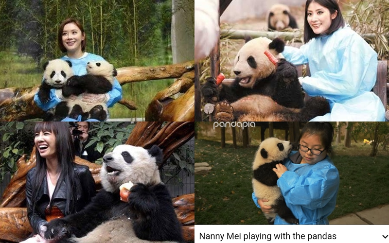 K-netz Bungkam Netter Tiongkok dengan Bukti-Bukti Ini Usai Kritik BLACKPINK Main dengan Panda