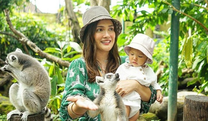 Ancam Seret ke Jalur Hukum, Shandy Aulia Murka Baby Claire Dikomentari