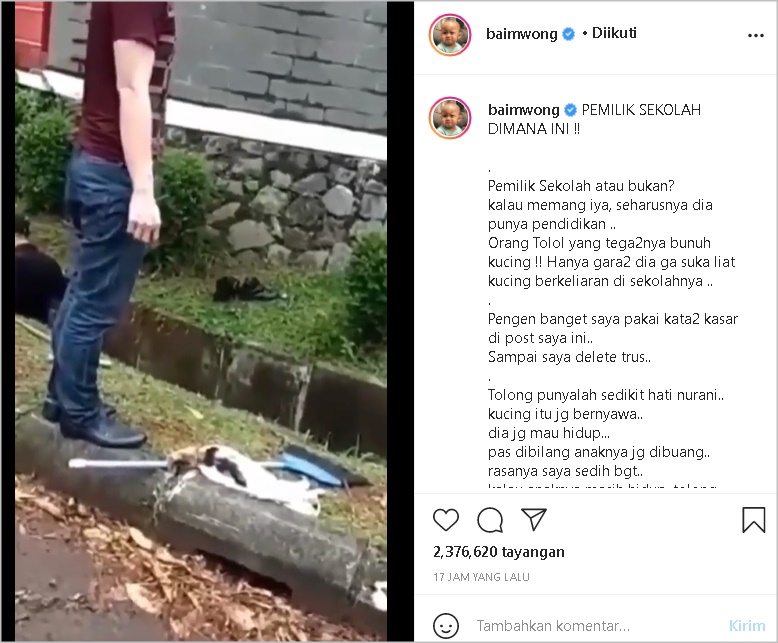 Baim Wong Geram Tanggapi Video Viral Kabar Kucing Dibunuh, Emosi Suami Paula Verhoeven Tumpah