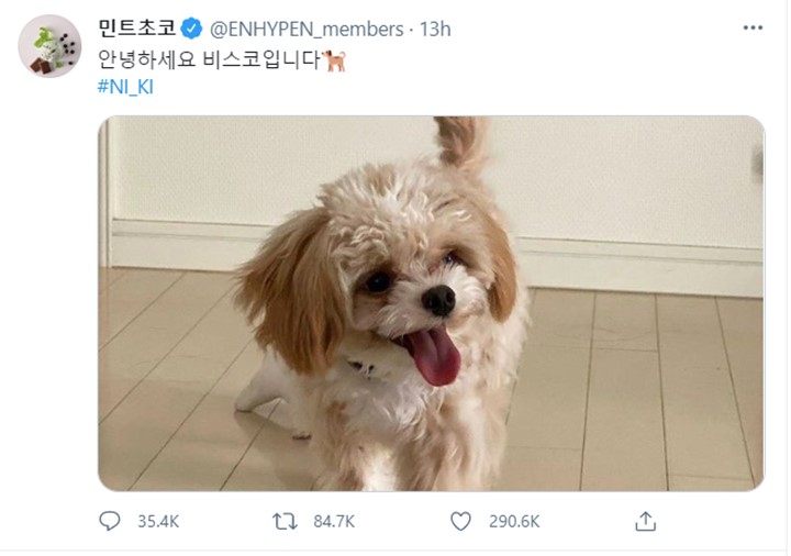 Ikut Ramaikan April Mop, Ni-Ki ENHYPEN Ganti Foto Jadi Anjing Peliharaan di Twitter Resmi