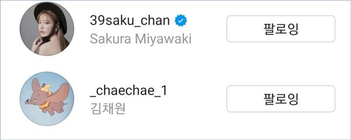 Performance director di HYBE dan Source Music mengikuti Kim Chae Won dan Sakura di Instagram